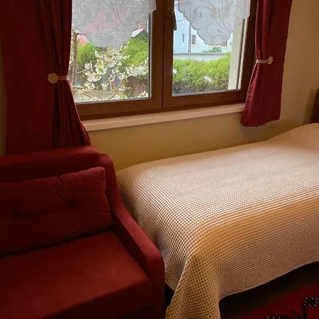 ゲストハウス Tershana Peshkopi