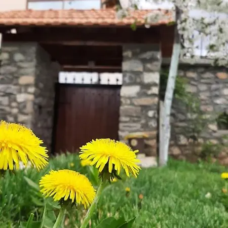 Tershana Πανσιόν Peshkopi